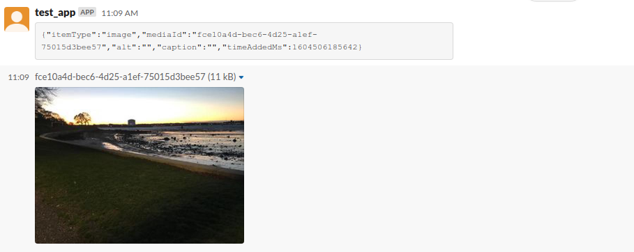 In slack, a 100px-wide image. Underneath it a JSON structure with the keys itemType (image), mediaId (a uid), alt (not filled out), caption (not filled out) and timeAddedMS, with a millisecond timestamp.